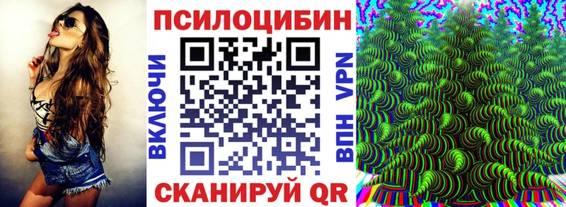 кракен Острогожск Галлюциногенные грибы Cubensis